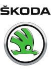 SKODA Partikelfilter DPF - Auspuff günstig kaufen